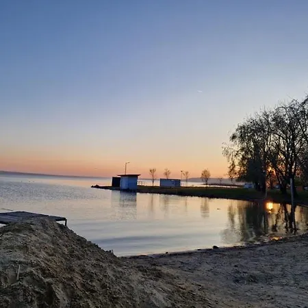 Rehelyi -